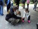 adoptie2