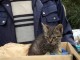 adoptie3