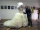 art-marriage-satu-mare10