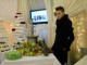 art-marriage-satu-mare4
