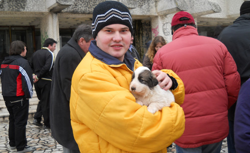 free-life-satu-mare1