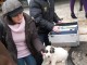 free-life-satu-mare5