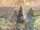 mizerie-somes-satu-mare2