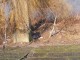 mizerie-somes-satu-mare3