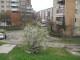 satu-mare-micro-16-2