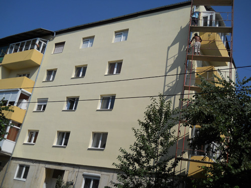 crizantemei