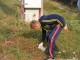 ldr-satu-mare6