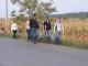 ldr-satu-mare8