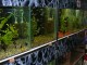 petshop2