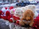 valentines2