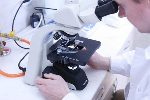 biologie