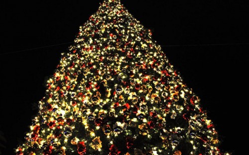 3d-christmas-tree-pictures-1