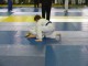 judo4