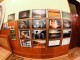 expo-foto-oas31