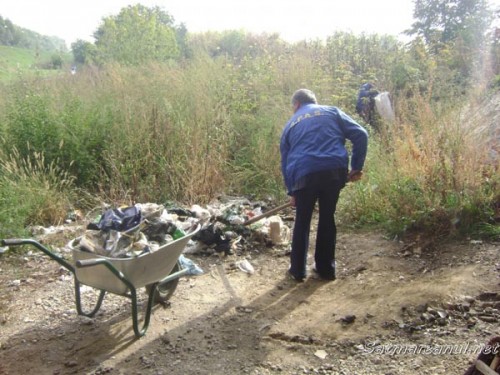 prestari6