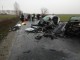 accident-livada-ciuperceni4