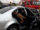 accident-livada-ciuperceni7