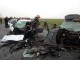 accident-livada-ciuperceni8