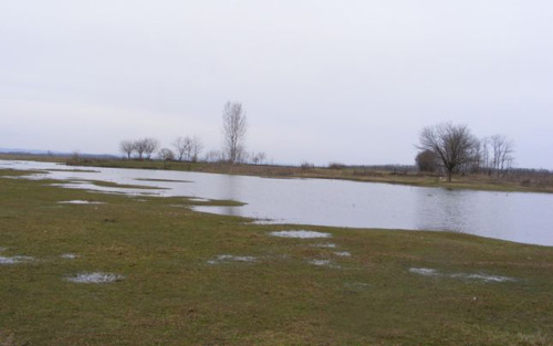 inundatii