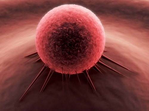 Cancer-Cell