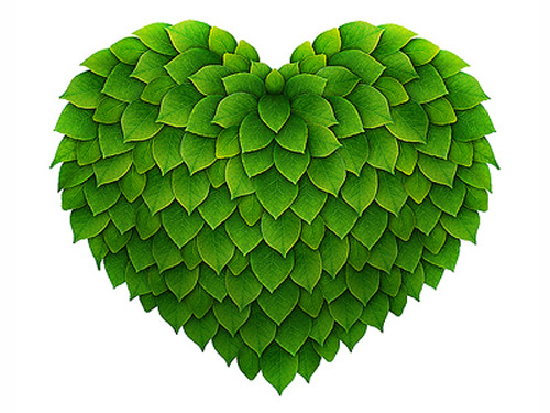 Plantare