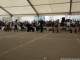 cacib-2013-05