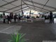 dog-show-06