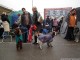 dog-show-07
