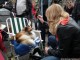 dog-show-16