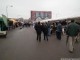 dog-show-18