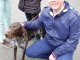 dog-show4