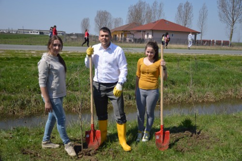 plantare-puieti1