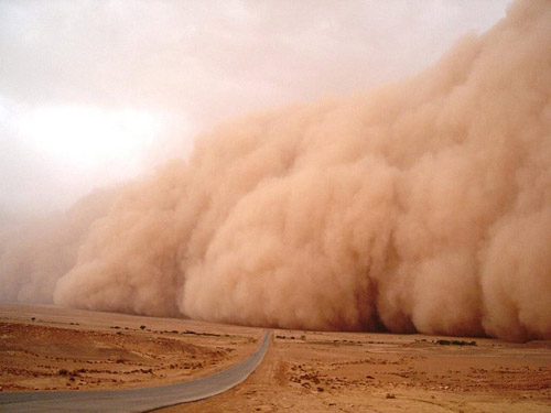 dust-storm-mohammed