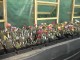 cactusi-05