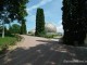 gradina-botanica-jibou02