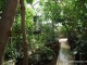gradina-botanica-jibou07