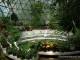 gradina-botanica-jibou13