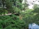 gradina-botanica-jibou31