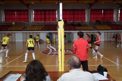 volei