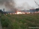 miriste-incendiata-02