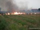 miriste-incendiata-04