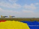 miting-aviatic-2013-43