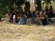 plopstock-2013-02