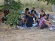 plopstock-2013z2-13
