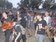plopstock-2013z2-27