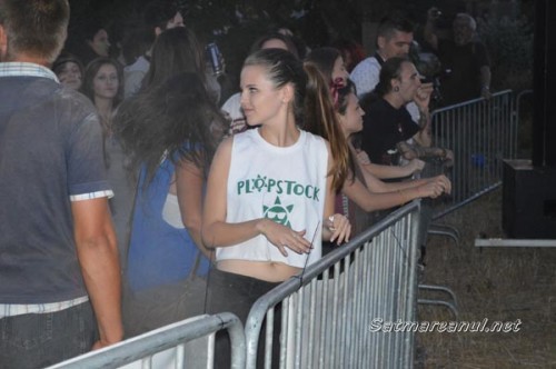 plopstock-2013z2-31