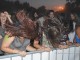 plopstock-2013z2-43