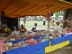 zilele-careiului-2013-15