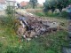 accident3
