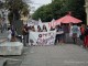 protest-rosia-montana05